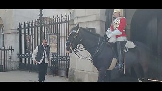 Pulling the reins away #horseguardsparade