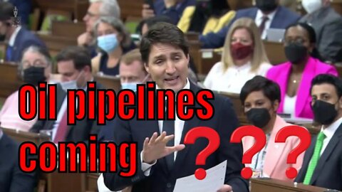 No more pipelines Bill C69 ruled unconstitutional