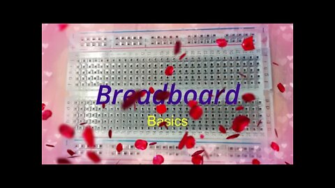 Breadboard Basics