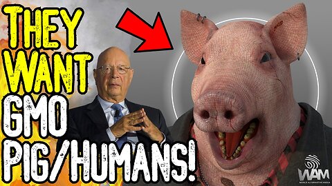 TRANSHUMANISM! - Media Promotes GMO Pig-Human TRANSPLANTS! -Brain IMPLANTS! - This Is Evil