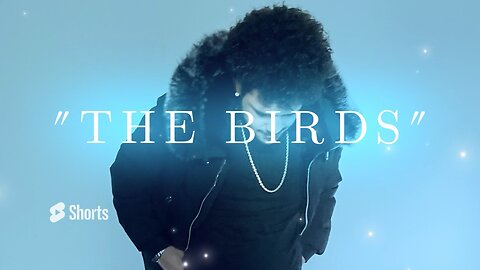 JayTheDon - The Birds (Official Audio)