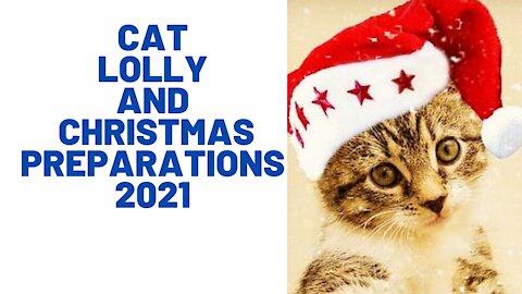 Watch Cat Lolly and the 2021 Christmas preparations at home