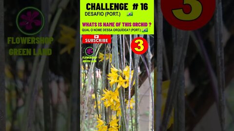 CHALLENGE # 16 |WHATS IS NAME OF THIS ORCHIDS? | YOU WANT TO LEARN? |# SHORT