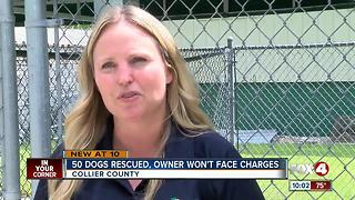 Dogs found in terrible conditions