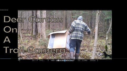 Trail Camera On a Deer Carcass