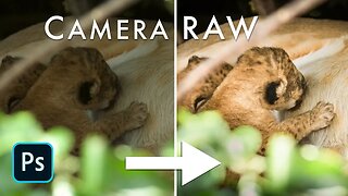 PROCESS Your Photos LIKE A PRO in Photoshop's Camera RAW | Photography Tutorial Part 7