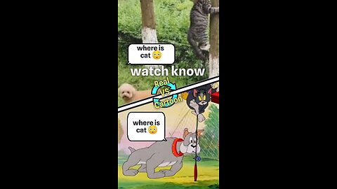 Cats vs Cartoon Tom and Jerry Funny video|FuNDODey