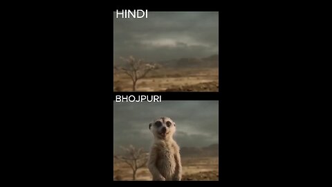 hindi vs bhojpuri