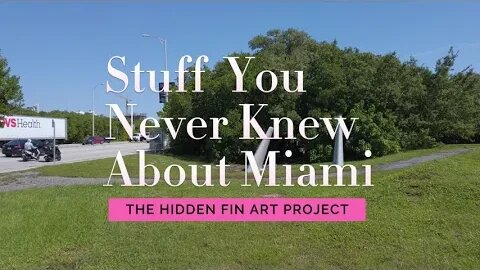 The Fin Art Project Cool Miami Stuff Nobody Knows