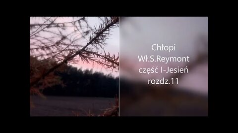 Chłopi -Wł.S.Reymont część I - Jesień rozdz.11