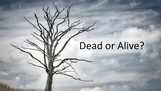 Sunday AM Service: Dead or Alive
