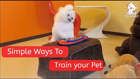 Train Your Dog Like a Pro: Expert Advice and Techniques As They Are Trained In Academy!