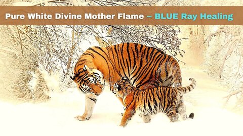 Pure White Divine Mother Flame * BLUE Ray Healing * Bliss and Freedom Codes