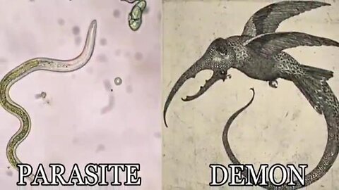 Minds unveiled, Parasites are Demons!