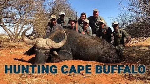 Hunting Cape Buffalo and Honoring a Friend