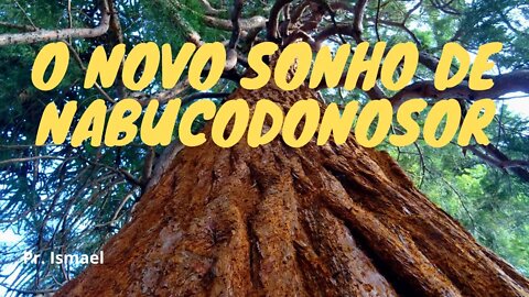 O Segundo Sonho de Nabucodonosor - (culto)