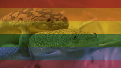 Gay Frogs Are Real: #AlexWasRight