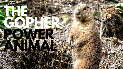The Gopher Power Animal