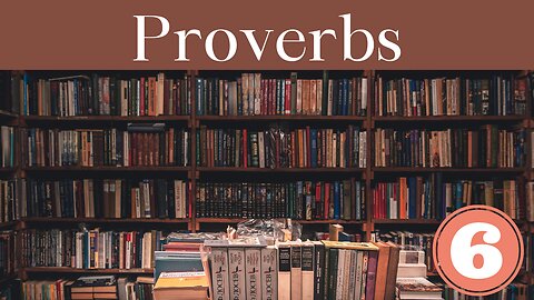 Proverbs Chapter 6 Bible Study