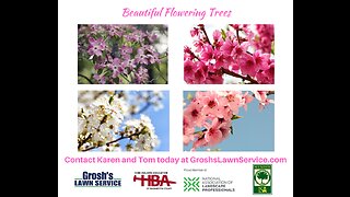 Flowering Trees Mercersburg Pennsylvania Landscape