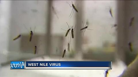 West Nile Virus confirmed in Milwaukee County