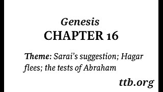 Genesis Chapter 16 (Bible Study)