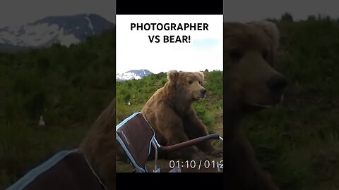 Photographer VS BEAR