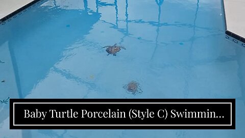 Baby Turtle Porcelain (Style C) Swimming Pool Mosaic (Style C - 5" x 5", Blue)