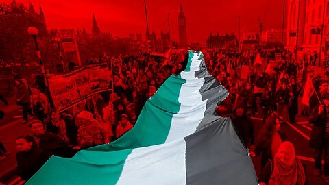 Leftist and Media Support for Palestine and Hamas is STAGGERING