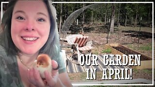 How We Do Our Cattle Panel Trellis//Nature Walk//Health Update