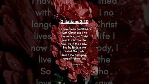 Share the Good News. Bible Verse of the Day. Galatians 2:20 NIV