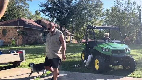 John Deere gator pulls tree down