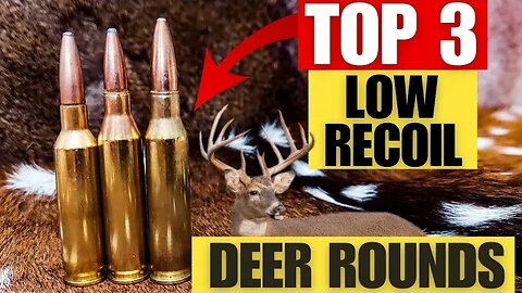 Top 3 Light Recoiling Cartridges for Deer [Including My Hunting Footage With All 3]