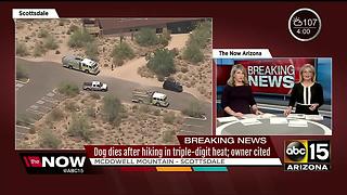 Dog dies after hiking in triple-digit heat; owner cited