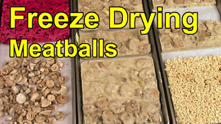 Freeze Drying Meatballs with Mushroom Sauce