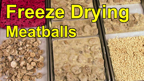 Freeze Drying Meatballs with Mushroom Sauce