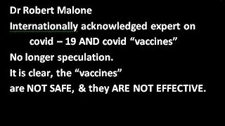 Dr Robert Malone 2