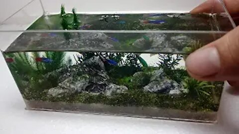 DIY Aquarium for homes and offices