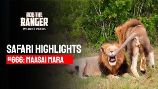 Safari Highlights #666: 02 & 03 February 2022 | Maasai Mara/Zebra Plains | Latest Wildlife Sightings
