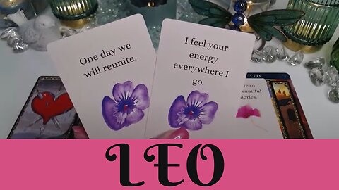 LEO♌ 💖NO CONTACT💘THEY HURT YOU☹️THEY'RE AFARID THEY'VE LOST YOU FOREVER ✨🪄 LEO LOVE TAROT💝