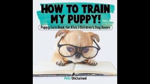 Train Your Puppy Easy