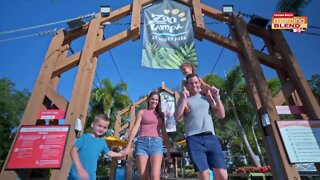 Record Attendance at Zoo Tampa | Morning Blend