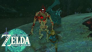 Still in the Depths The Legend of Zelda Tears of the Kingdom #35