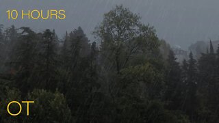 Thunderstorm in the Woods | Soothing Thunder & Heavy Rain Sounds For Sleeping | Relaxation | Study