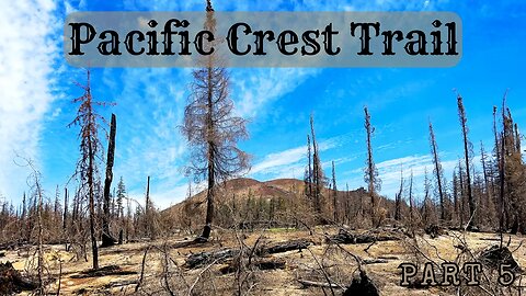 Father Son Adventure On The Pacific Crest Trail - Part 5