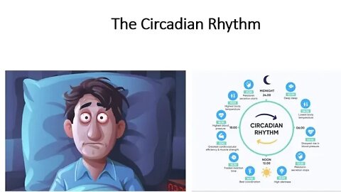 Circadian Rhythm - Sleep, Disease & Biological Age