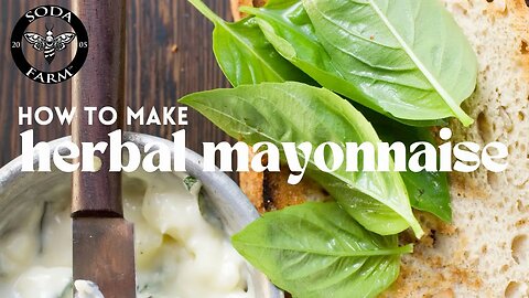 How to Make Herbal Mayonnaise