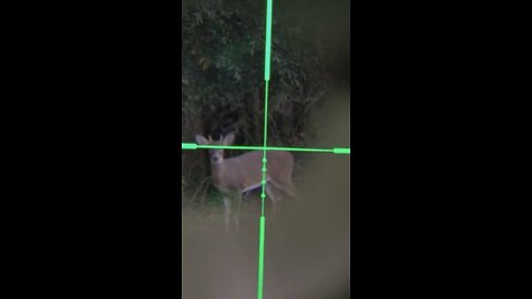 iScope Video – Spike Killed By Visually Challenged Hunter