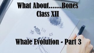 What about...... Whale Evolution | Part 3 | Fossil Class | Class XII | Academy of Hope