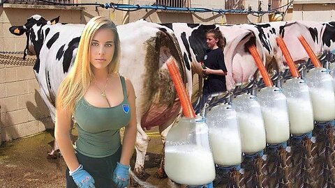 Incredible Modern Farm Pretty Girl​ Cow HOOF Cure New Farming Automatic Milking Milk Feeding